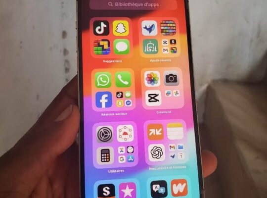 IPHONE 12 PRO MAX