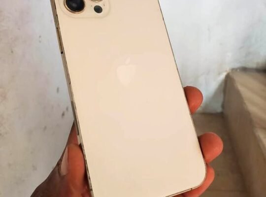 IPHONE 12 PRO MAX