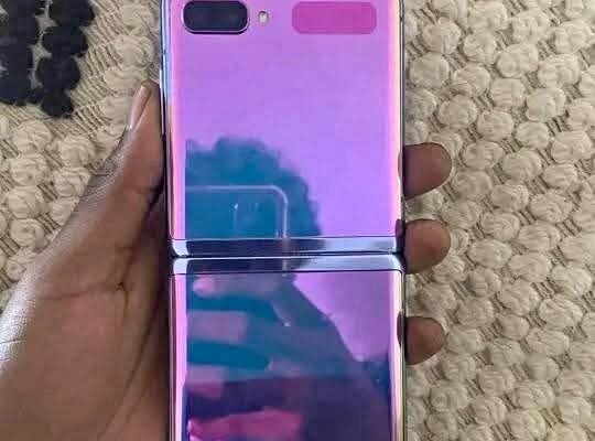 SAMSUNG Z FLOD