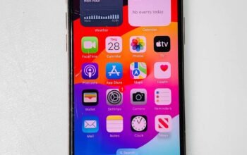 IPHONE 12 PRO MAX