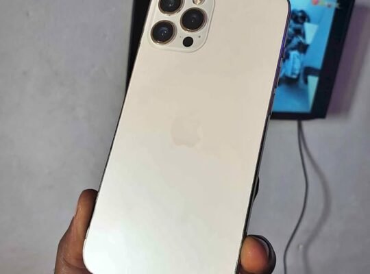 IPHONE 12 PRO MAX