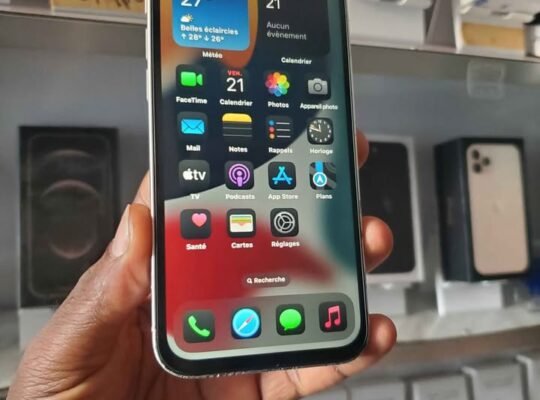 IPHONE 12 PRO MAX